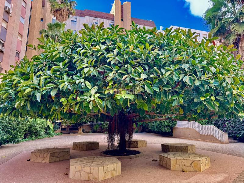 Foto cfef63f5-17ec-43ae-af8c-15fb0f46d2ae. Piccolo appartamento con parcheggio in Centro Urbano Benidorm