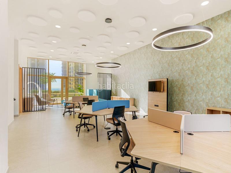 Foto 61dad985-d55c-42d0-a62f-e11b25b3ea0f. Piccolo appartamento con piscina in Centro Urbano Benidorm