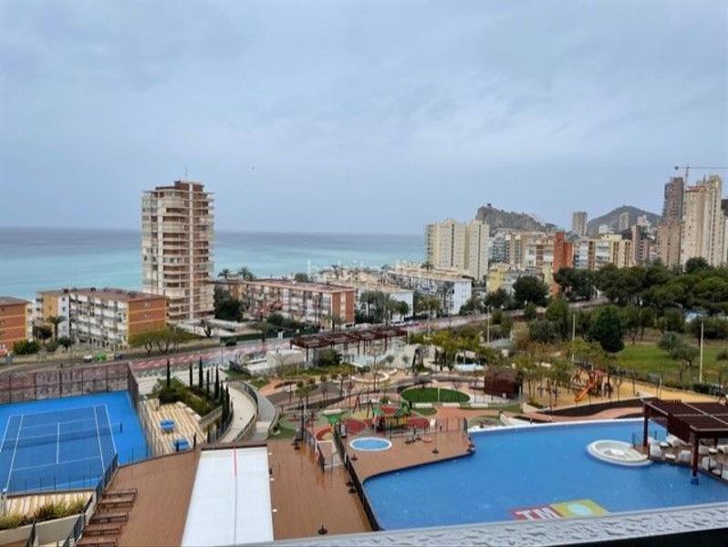 Foto d2944a49-761e-485c-8129-6f33af4ec0ef. Lloguer apartament amb piscina a Playa Poniente Benidorm