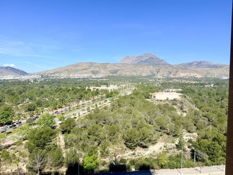 Foto 0b913108-bf06-4815-8c80-abfe5b4f0dac. Apartament amb piscina a Playa Poniente Benidorm