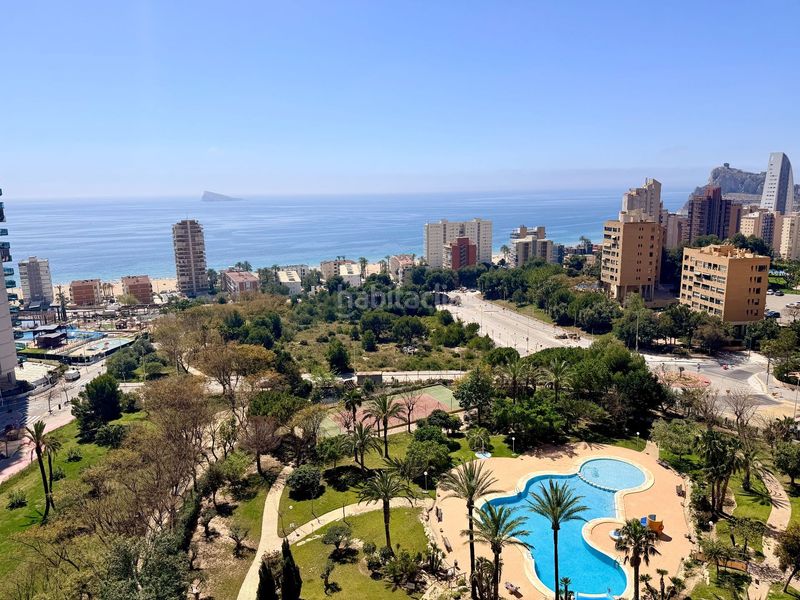 Foto 1f1d025f-bd22-435a-877f-2cd6f94c22f4. Apartament amb piscina a Playa Poniente Benidorm