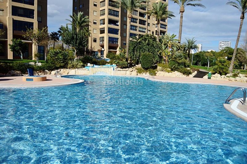 Foto 539f2104-e10b-4eee-b850-ee61bb6ab599. Apartament amb piscina a Playa Poniente Benidorm