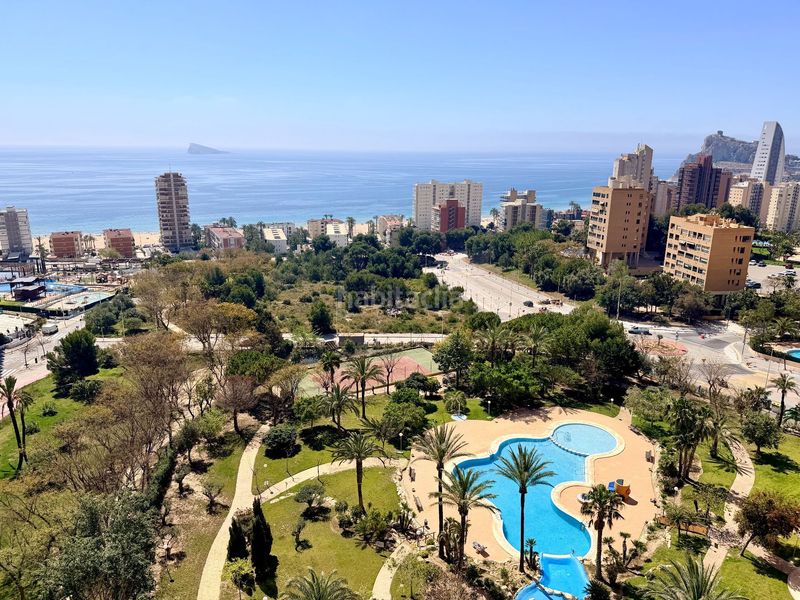 Foto 61db33a9-32b7-4744-9c8f-8901e5f7616b. Apartament amb piscina a Playa Poniente Benidorm