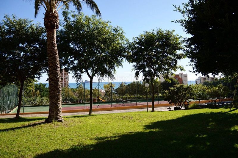 Foto 7217e54b-ef83-4c1d-a280-e0b9f76d66a8. Apartament amb piscina a Playa Poniente Benidorm