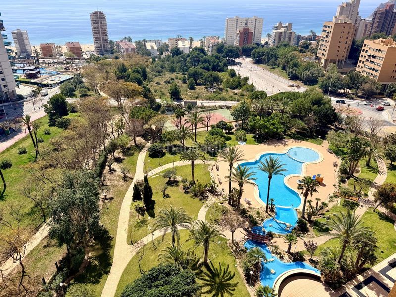 Foto a43f072c-1aac-452a-8c98-b5e40ef7986f. Apartament amb piscina a Playa Poniente Benidorm