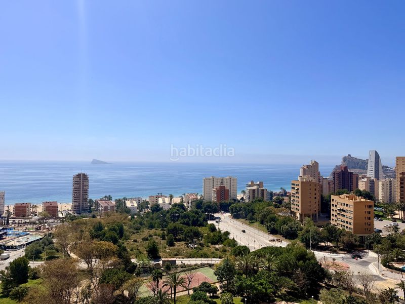 Foto d6eba913-c4cd-4fec-a5eb-bdd575feda47. Apartament amb piscina a Playa Poniente Benidorm