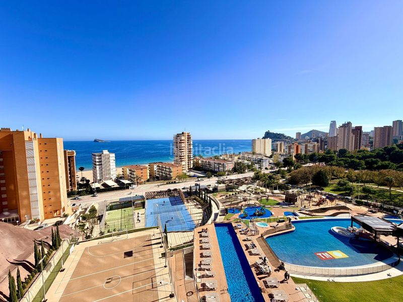 Foto 38a2a845-9df6-41d2-a0a4-dcdec9c8ded9. Apartament amb calefacció piscina a Playa Poniente Benidorm