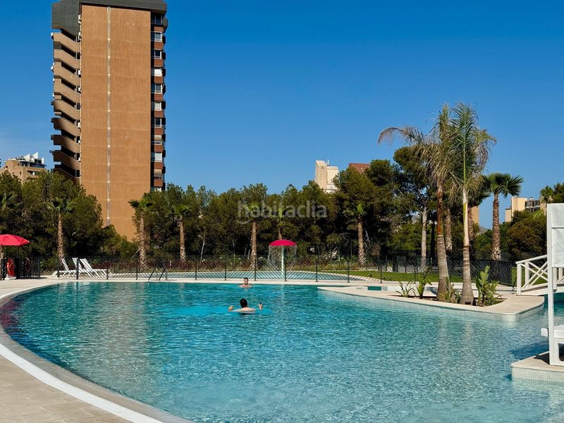 Foto 4b991aae-ae62-4180-8a8f-87dfcfa708cd. Apartament amb calefacció piscina a Playa Poniente Benidorm