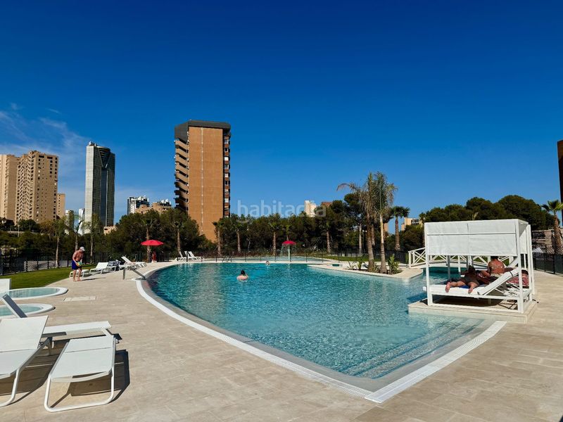 Foto 6ecd15ca-501e-4121-aced-7f751dee29e2. Apartament amb calefacció piscina a Playa Poniente Benidorm