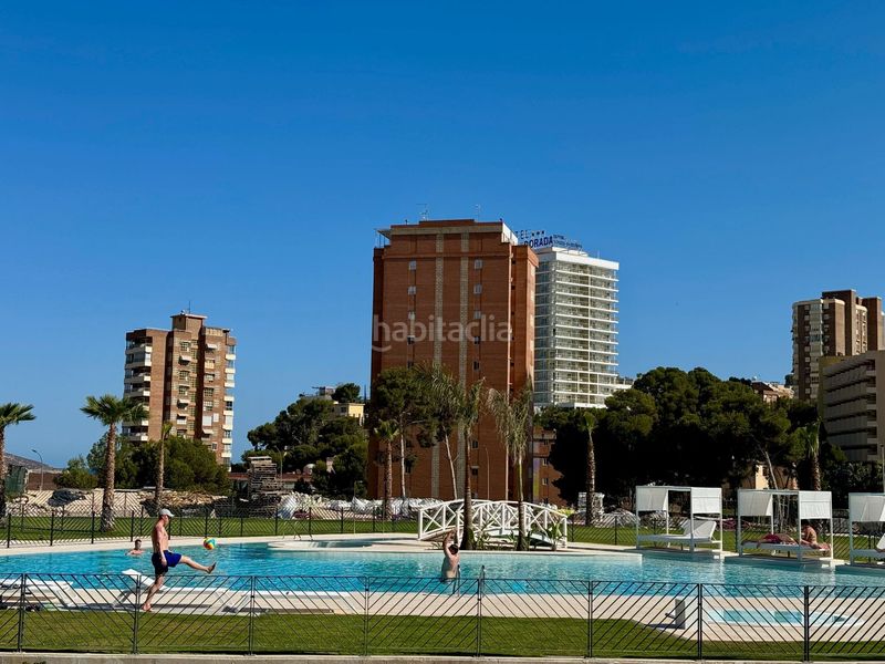 Foto d10a1102-cc92-4cf2-92cc-130bc076d1a5. Apartament amb calefacció piscina a Playa Poniente Benidorm