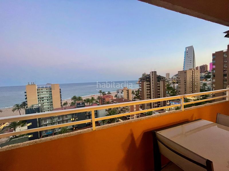 Foto 99b6d14d-b8a7-4b1f-a3e7-dbcfaed96a3d. Location appartement avec piscine dans Playa Poniente Benidorm