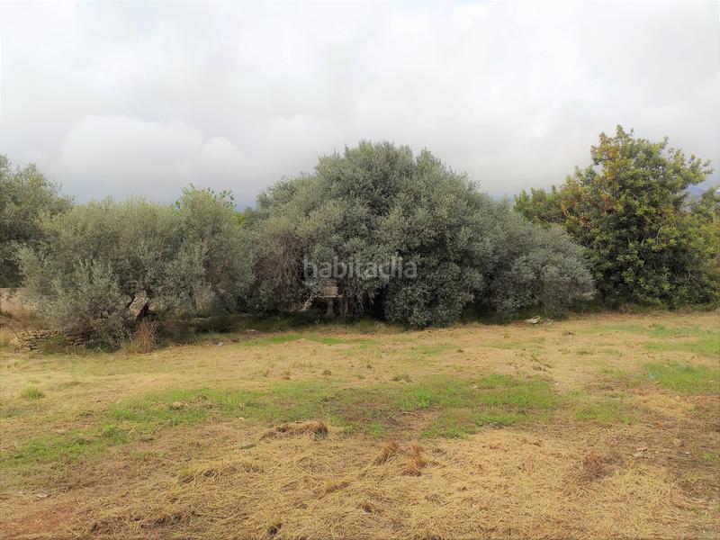 Foto 2a9f01bc-8829-4c32-a8f0-67272dedf215. Fondo rustico in Alcanar