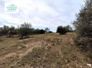 Finca rústica  Polígon pol5 sec3 subsec91. En venta finca rústica cerca de sant carles de la ràpita