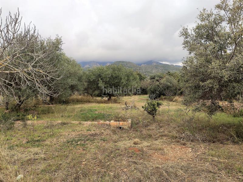 Foto 788e2db4-6dec-446e-8e75-8647d0168dfd. Fondo rustico in Alcanar