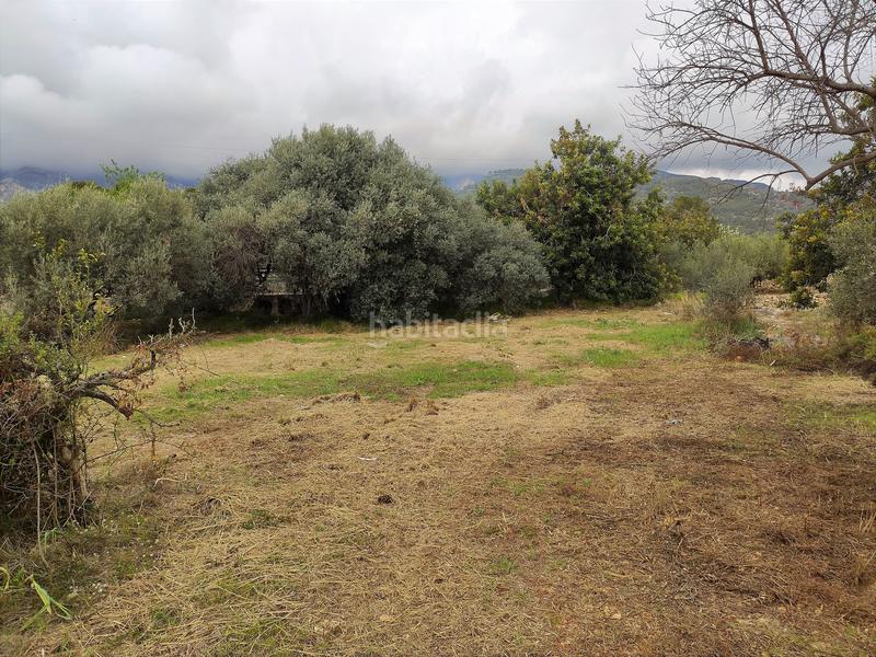 Foto 7d6ab735-5305-4873-95ab-dd516392c6dd. Fondo rustico in Alcanar