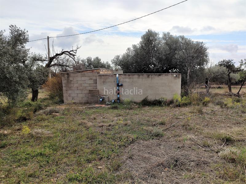 Foto 899f724a-65f0-4645-8d99-f07ecbb9eb66. Fondo rustico in Alcanar