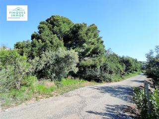 Finca rústica a Alcanar. En venta finca rústica plana en partida codonyol