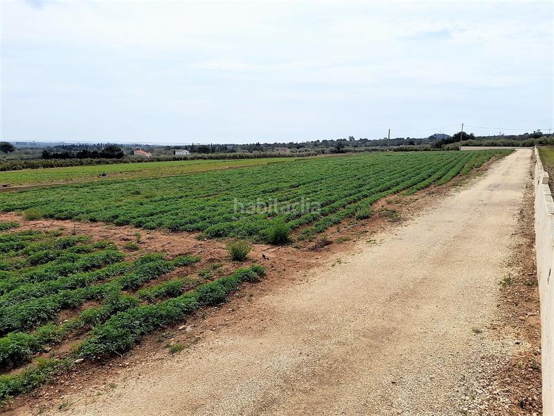 Foto bcf69dec-f893-40eb-b3f1-a8f4b397dae5. Propriété dans Valletes - Xiribecs Amposta