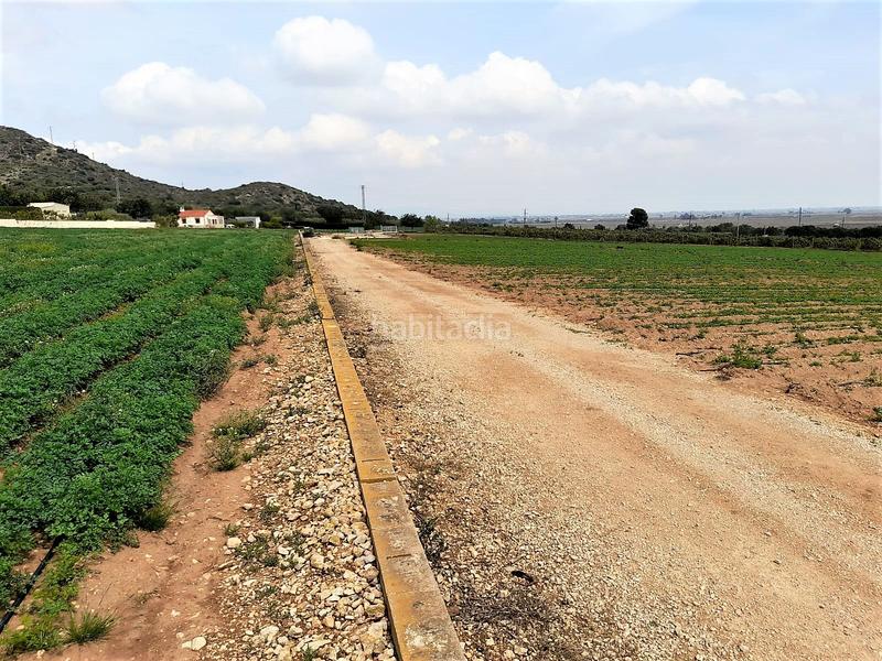 Foto cd61f321-4fb9-44e0-93bd-65060d758d9b. Propriété dans Valletes - Xiribecs Amposta