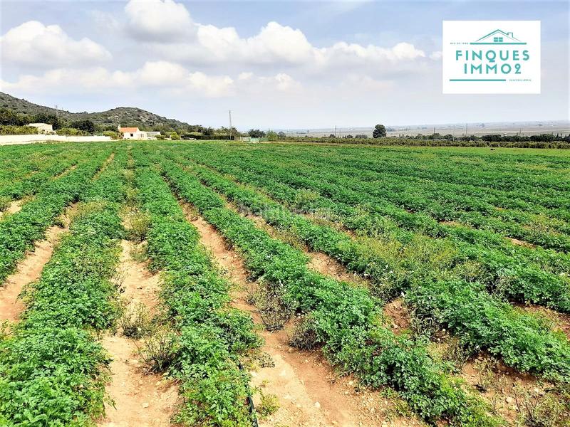 Foto d67baf5e-67ee-432f-a859-fb1d9169c242. Propriété dans Valletes - Xiribecs Amposta