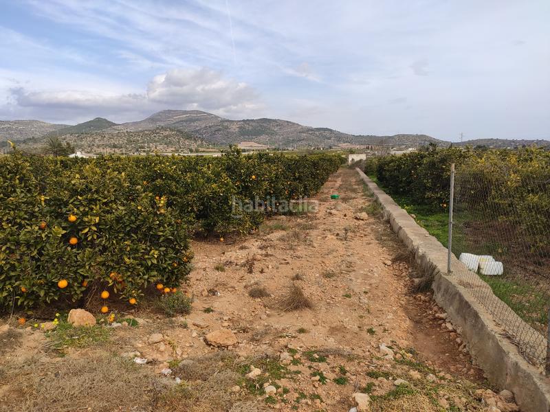 Foto 2709dbd8-ec93-4dfd-b55b-aaaecad0e835. Landgut in Alcanar