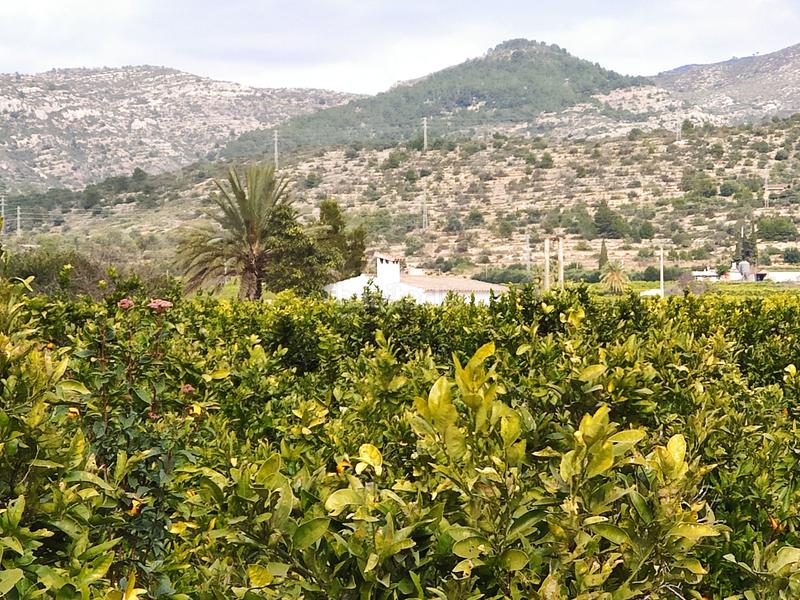 Foto 992b7fe1-3c29-4493-9199-816eead56fa2. Landgut in Alcanar