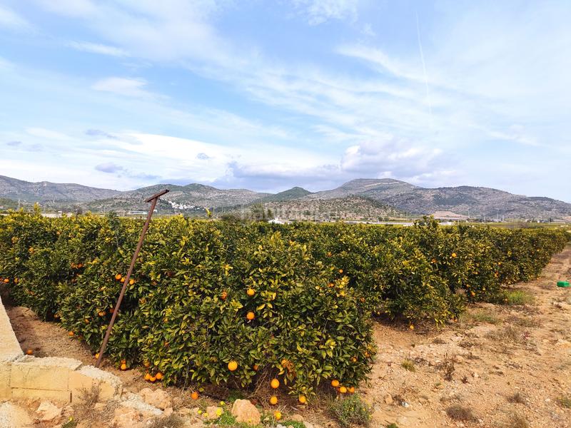 Foto c0980a8e-77dd-4263-b7ec-6fa761c1ff82. Landgut in Alcanar