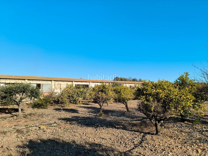 Foto 0aad736b-41af-4df6-a850-4885b14f632c. Propriété dans Avinguda Catalunya Sant Carles de la Ràpita