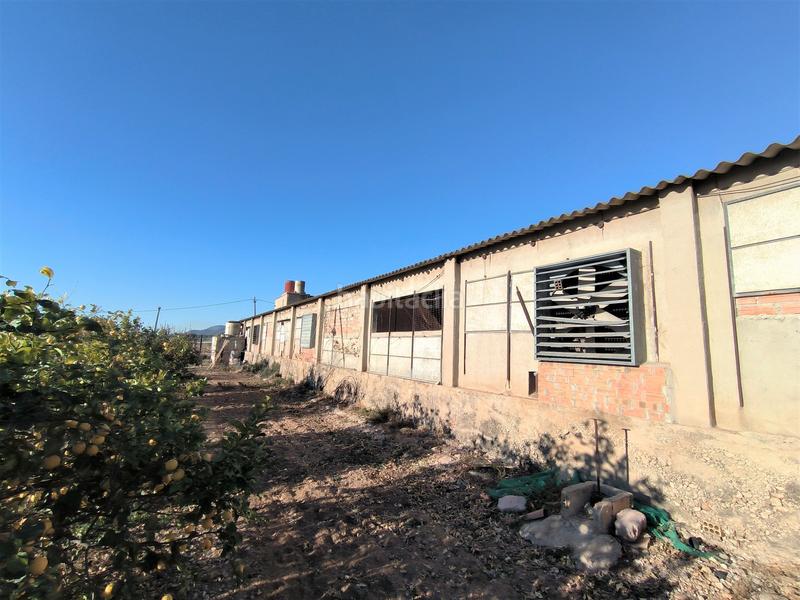 Foto 1eda931c-6be9-4232-b535-52a217b11958. Propriété dans Avinguda Catalunya Sant Carles de la Ràpita