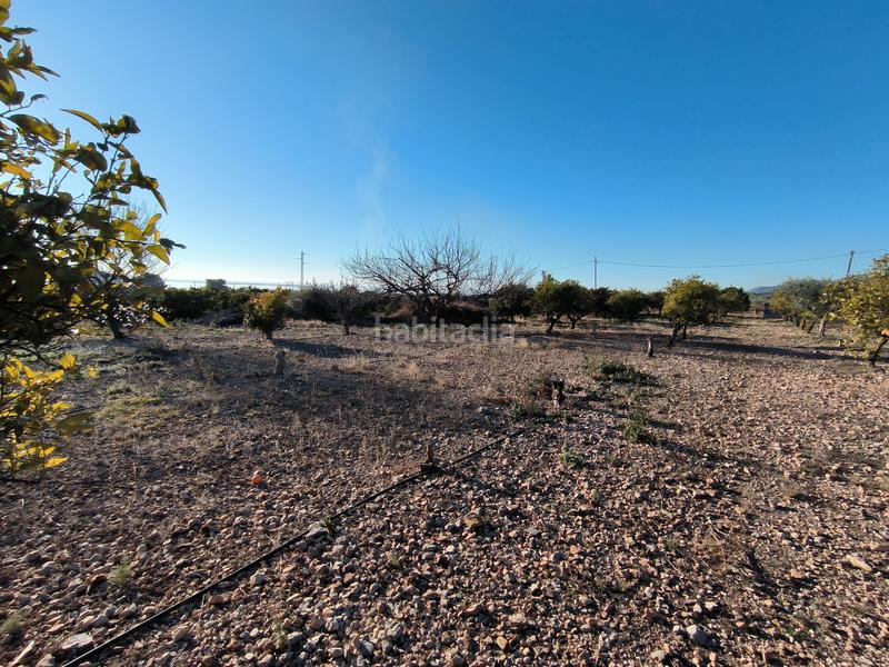 Foto 39ad9fc6-2c3f-4d6b-8dcc-e5053026956e. Propriété dans Avinguda Catalunya Sant Carles de la Ràpita