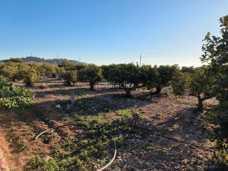 Foto 44d7e707-d51b-4989-bcb3-c16d564ecab2. Propriété dans Avinguda Catalunya Sant Carles de la Ràpita