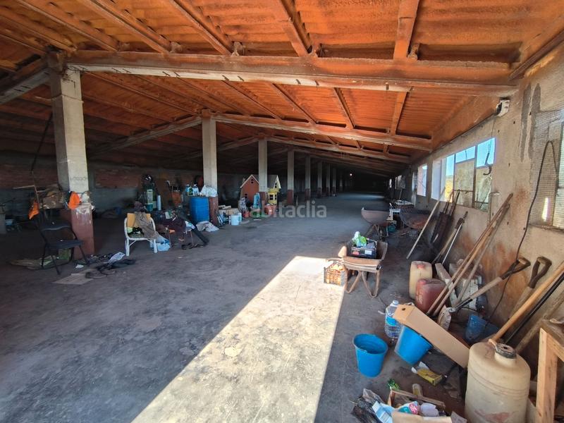 Foto 6305c0d2-222e-4f79-89d5-a965c5945a9b. Propriété dans Avinguda Catalunya Sant Carles de la Ràpita