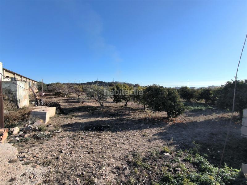 Foto b0af35bd-85ea-4cc1-a3f9-4749fa34ca96. Propriété dans Avinguda Catalunya Sant Carles de la Ràpita