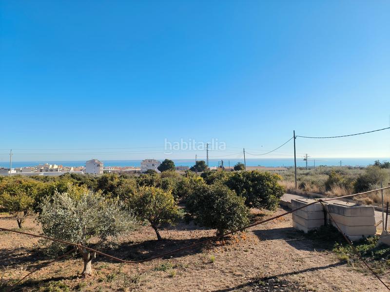 Foto bcf0465d-8ad0-48e5-a586-647d14385d51. Propriété dans Avinguda Catalunya Sant Carles de la Ràpita