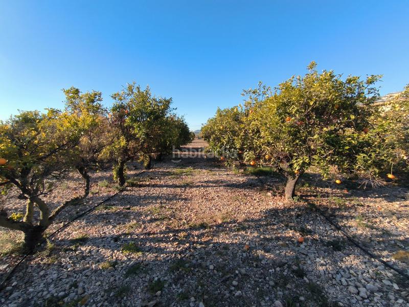 Foto be7b452e-d6df-40f0-aae4-fd2275c3a8b1. Propriété dans Avinguda Catalunya Sant Carles de la Ràpita