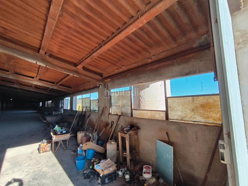 Foto d05d4c86-7bc6-4880-8960-90483bd5e083. Propriété dans Avinguda Catalunya Sant Carles de la Ràpita