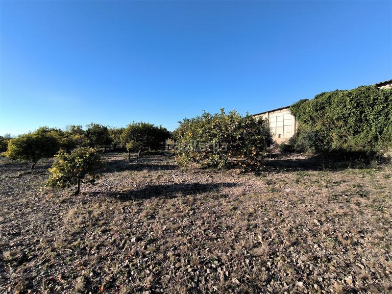 Foto e08f177c-ba19-43f8-b2d9-6c2328ef8d98. Propriété dans Avinguda Catalunya Sant Carles de la Ràpita