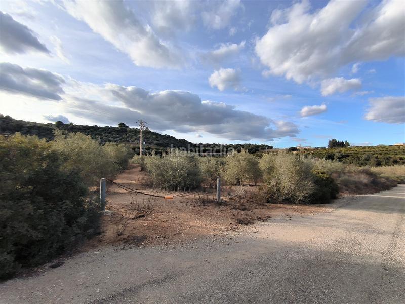 Foto 08eca3bf-12a5-431d-bad0-cc0a87864c6d. Finca rústica a carretera vecinal num 27 8 a Freginals