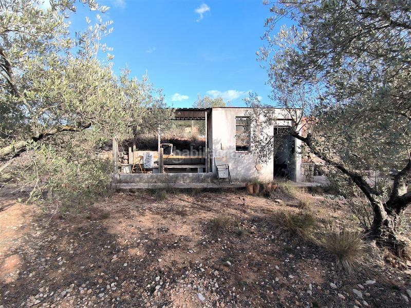 Foto 409d1758-003a-4ce2-91b4-7eddd38ae651. Finca rústica a carretera vecinal num 27 8 a Freginals