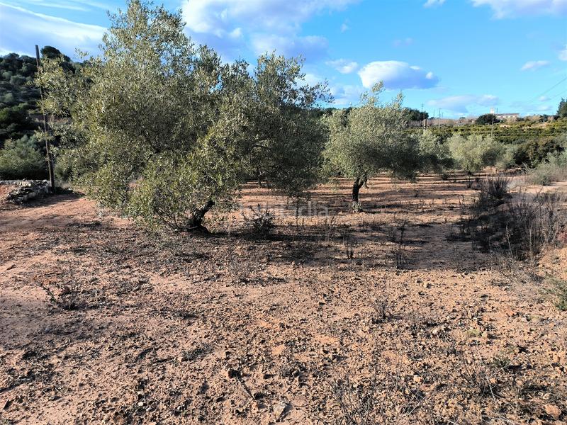 Foto 61896b88-e723-4456-8bff-569e72524f0b. Finca rústica a carretera vecinal num 27 8 a Freginals