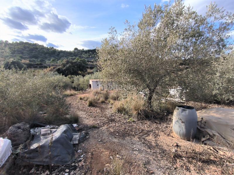 Foto 7775d465-6fd9-4573-a709-4e95d9cd7ac6. Finca rústica a carretera vecinal num 27 8 a Freginals