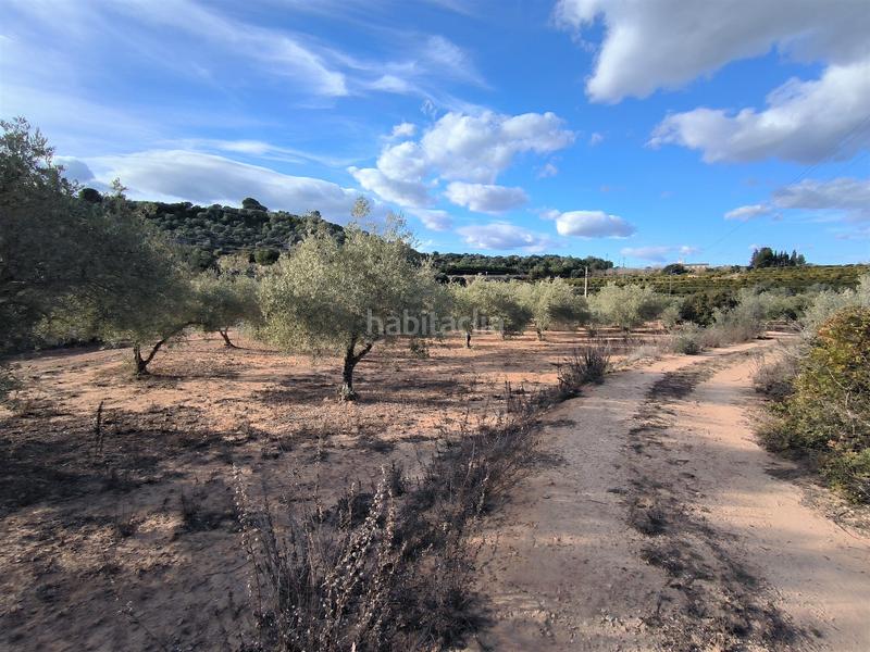 Foto d061fb96-ca2c-4fe2-86d2-617eb68bcc36. Finca rústica a carretera vecinal num 27 8 a Freginals