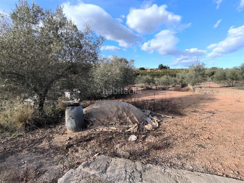 Foto fb551d63-55e1-41c8-bf3d-eb9cb5ea3f95. Finca rústica a carretera vecinal num 27 8 a Freginals