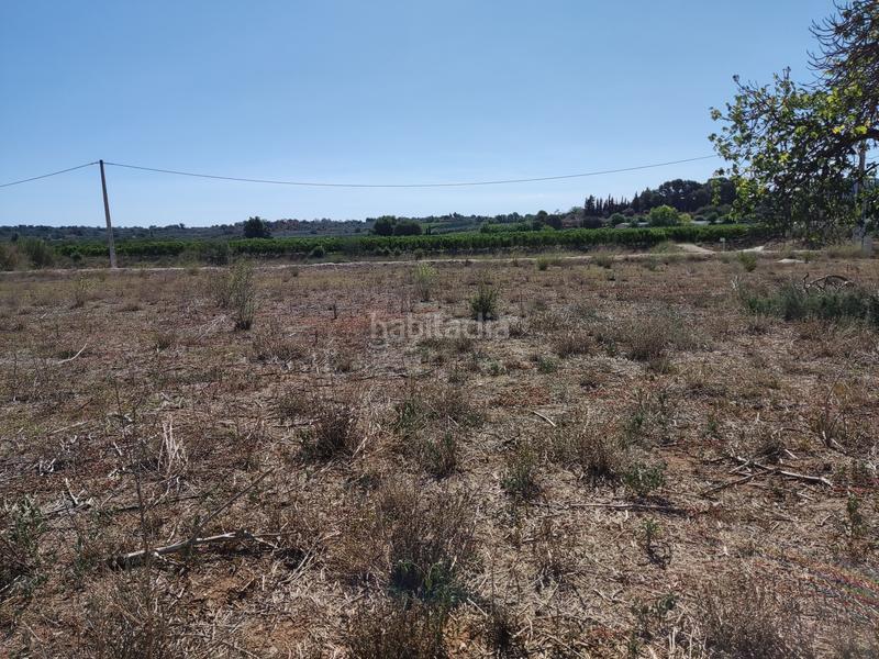 Foto 220e31d0-2b6f-4669-93f5-c7b06096dec5. Finca rústica en venta finca rústica con casita en Masdenverge