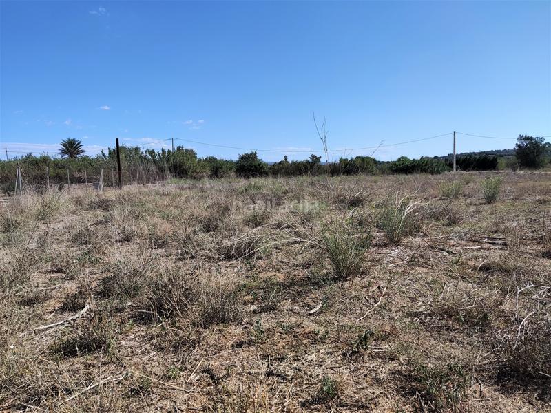 Foto 5169322a-df14-4b0c-89d7-2ac151d2d5b2. Finca rústica en venta finca rústica con casita en Masdenverge