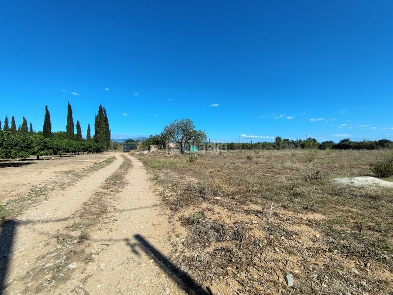 Foto 58366f7f-f6eb-4a73-aa3b-e201608f405c. Finca rústica en venta finca rústica con casita en Masdenverge