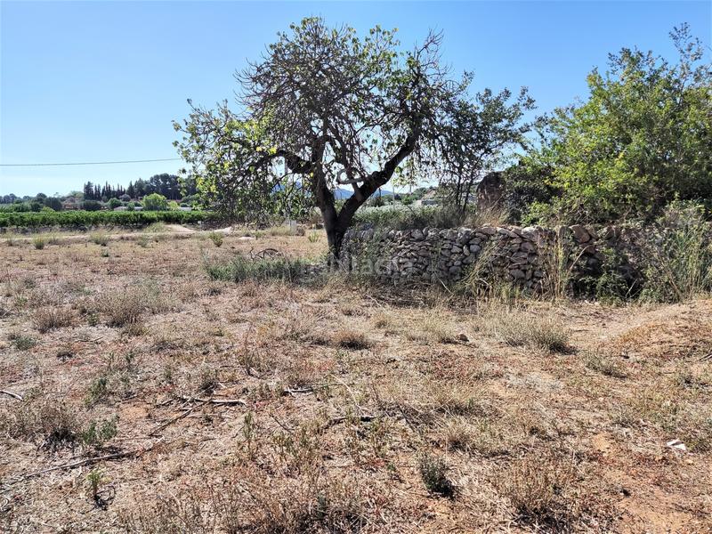 Foto 868cd29b-2a3a-48f1-8e3d-97fe6efcd1b3. Finca rústica en venta finca rústica con casita en Masdenverge