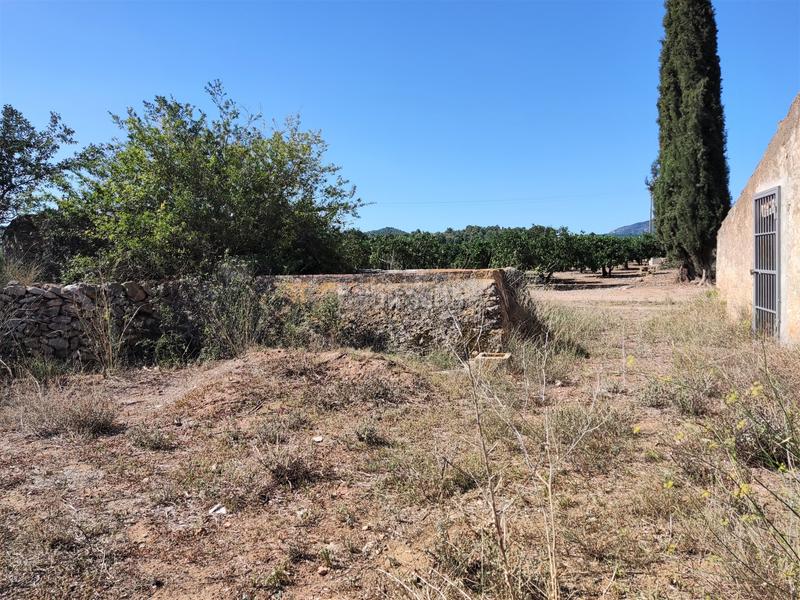 Foto 87d99135-3c8d-4ff4-a533-e2f6bb773522. Finca rústica en venta finca rústica con casita en Masdenverge