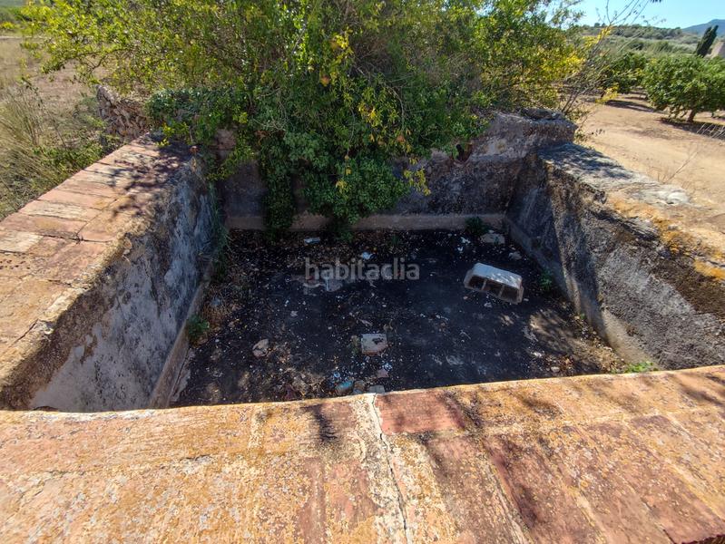 Foto 9a5ac325-c675-4764-a745-2256cc176a71. Finca rústica en venta finca rústica con casita en Masdenverge