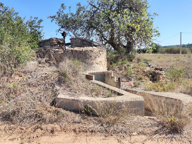 Foto a297934d-c9c3-43c4-a60b-4651365c7a3e. Finca rústica en venta finca rústica con casita en Masdenverge